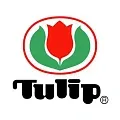 Tulip Tulip