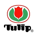 TULIP TULIP